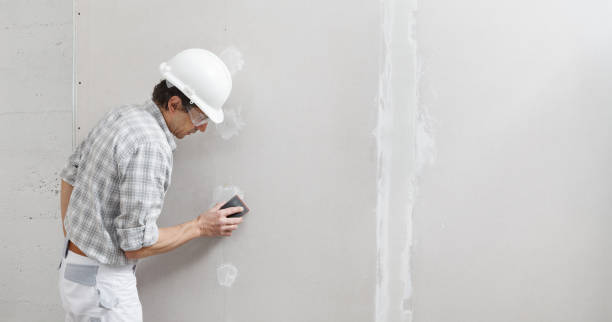 Best Residential Painting  in Munford, AL